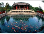 章丘天气预报10天