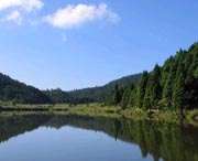凤阳天气预报40天