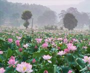 广昌天气预报10天